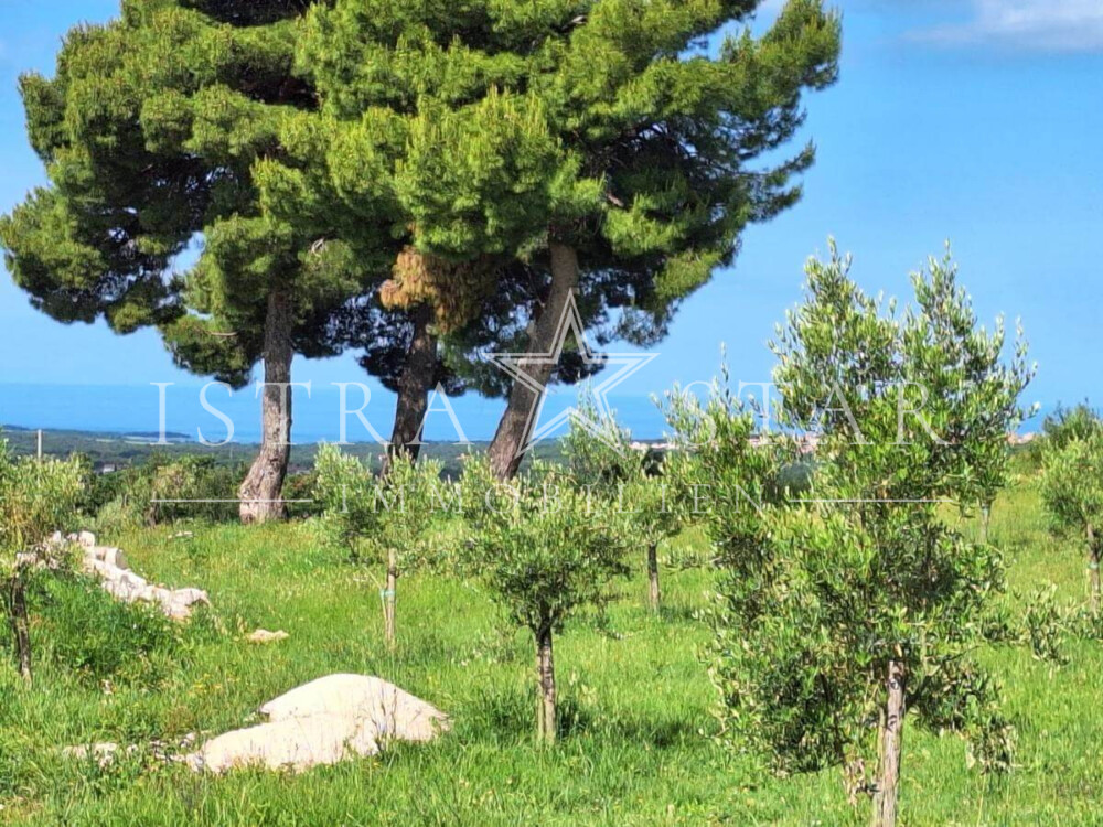 Modernisiertes Steinhaus mit istrischem Charme und Meerblick, nahe Porec